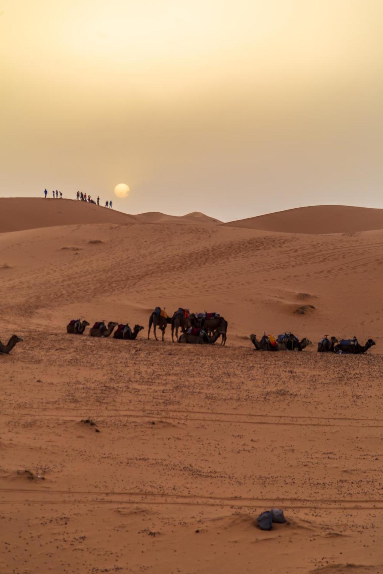 Sahara Starlight Camp Hotell Merzouga Eksteriør bilde